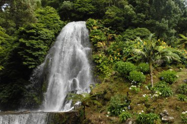 azores, Portekiz yeşil bitkiler arasında büyük şelale