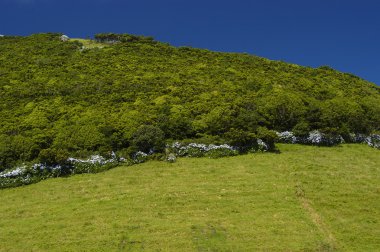 Azores peyzaj