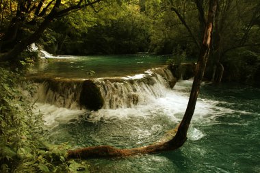 küçük nehir şelale üzerinde plitvice gölleri, Hırvatistan