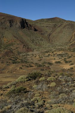 Tenerife Kuru toprak