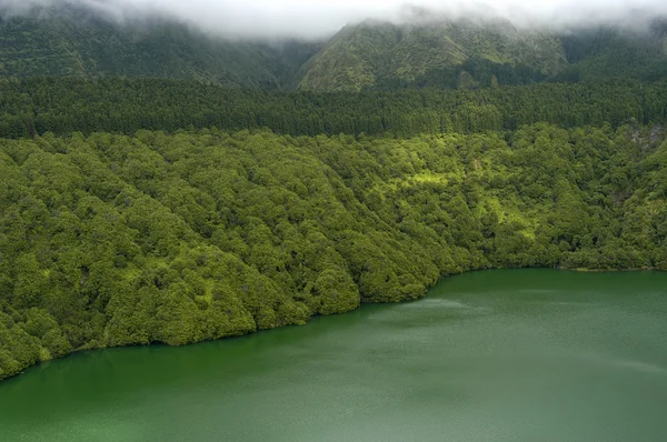 Azores Detalhe Lago — Fotografia de Stock