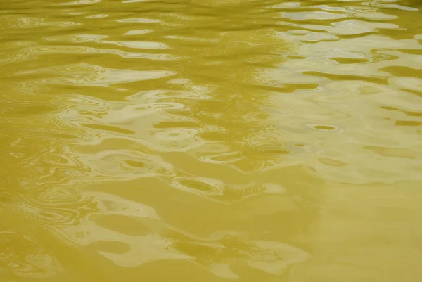 Теплая Вода Озера Терра Ностра Парк Азорском Острове Сан Мигель — стоковое фото