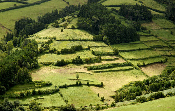 azores natural landscape in s miguel island