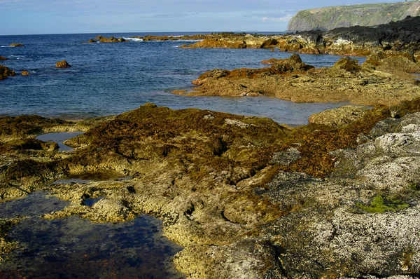 Costa dos Açores — Fotografia de Stock