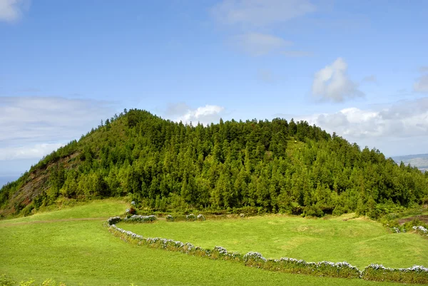 Vue Typique Des Açores Sur Île Sao Miguel — Photo
