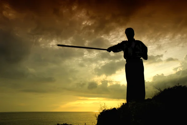 Genç Aikido Adam Savaşçı Günbatımı Işığı — Stok fotoğraf