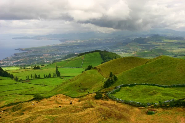 Azoren Felder Der Küste Der Insel São Miguel — Stockfoto