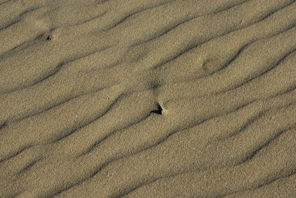 Детали Пустыни Рябью Песках — стоковое фото