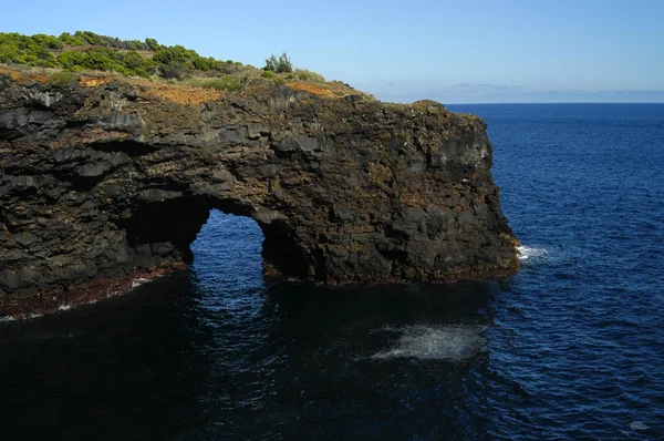 Falaise Côtière Des Açores Détail Faial Island — Photo