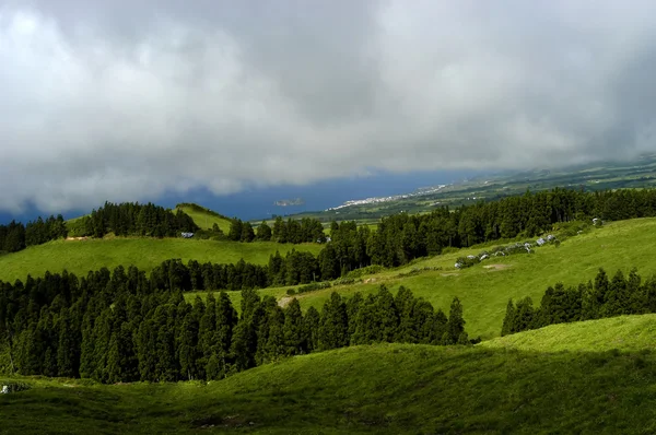 Naturalny Krajobraz Azorów — Zdjęcie stockowe
