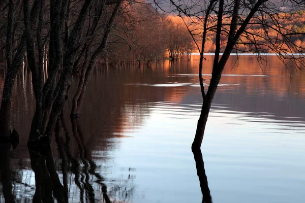 Herbsthochwasser See Bei Sonnenuntergang Nördlich Von Spanien — Stockfoto