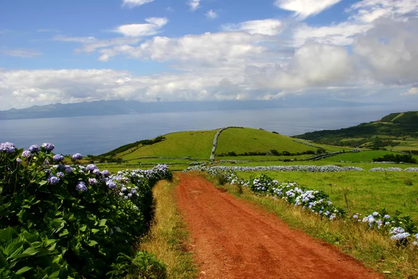 Азорские острова — стоковое фото