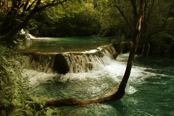 Small River Waterfall Plitvice Lakes Croatia — Stock Photo, Image