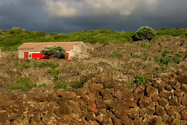 Azoren Altes Bauernhaus Miguel Insel — Stockfoto