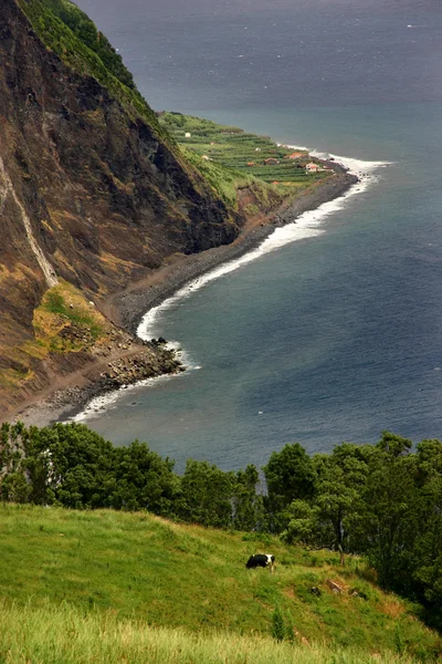 Azores Kıyı Görünümü — Stok fotoğraf