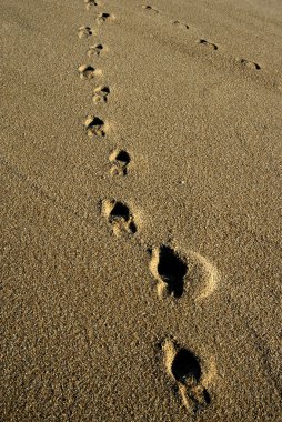 Human footprints in the wet sand detail clipart