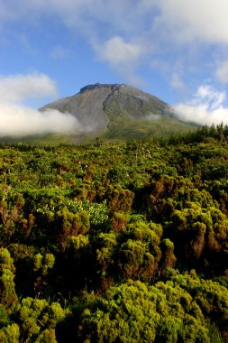 Azores dağ Pico pico Adası