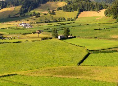 Azores yeşil alanlar sao miguel Island