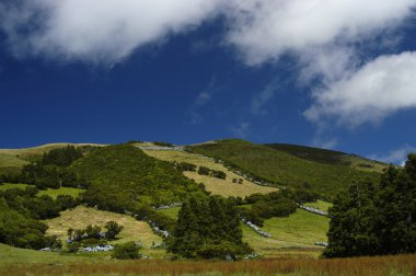 Azores peyzaj