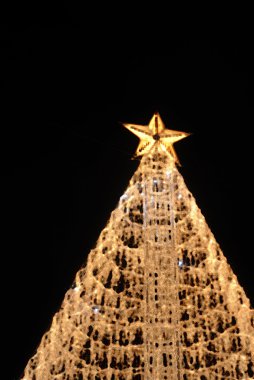 Noel ağacı ışıkları karanlık gecede