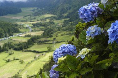 Azores peyzaj