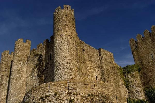Antiguo Castillo Obidos Sur Portugal — Foto de Stock
