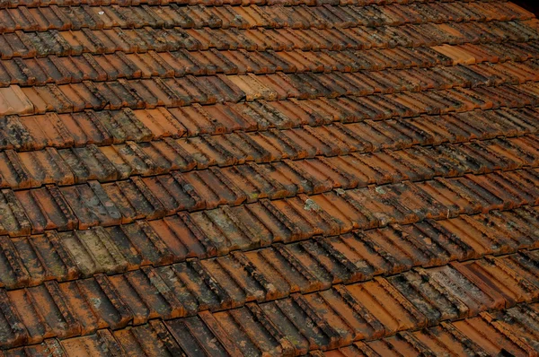 Roof Detail — Stock Photo, Image