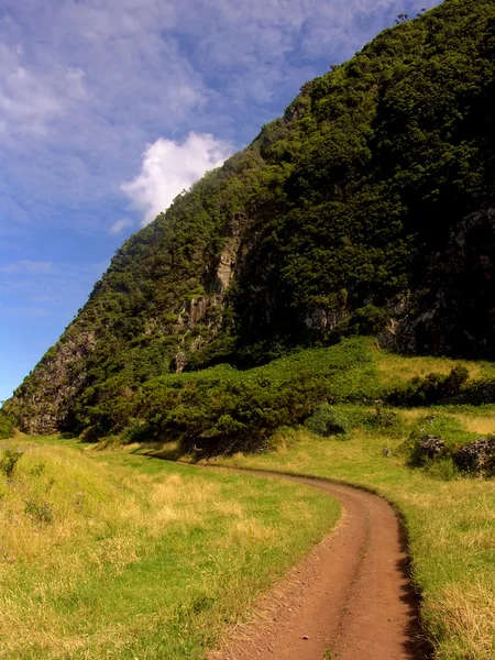 Azores Road Mountains — Stock Photo, Image