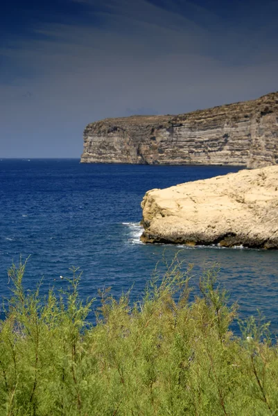 戈佐岛 侧重于植物在马耳他岛沿海视图 — 图库照片