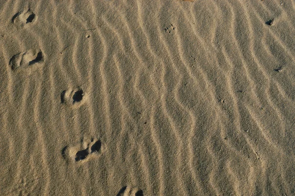 Détail du sable — Photo
