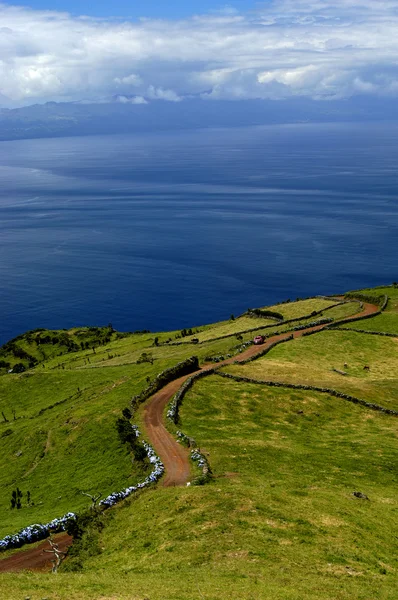 Vägen Fälten För Azorerna — Stockfoto