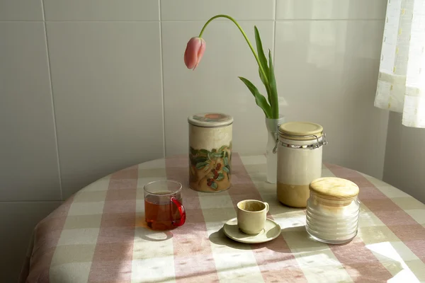Kaffe Tulipan Derhjemme - Stock-foto