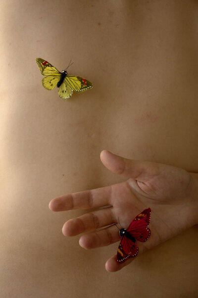 Мухи-дрозды