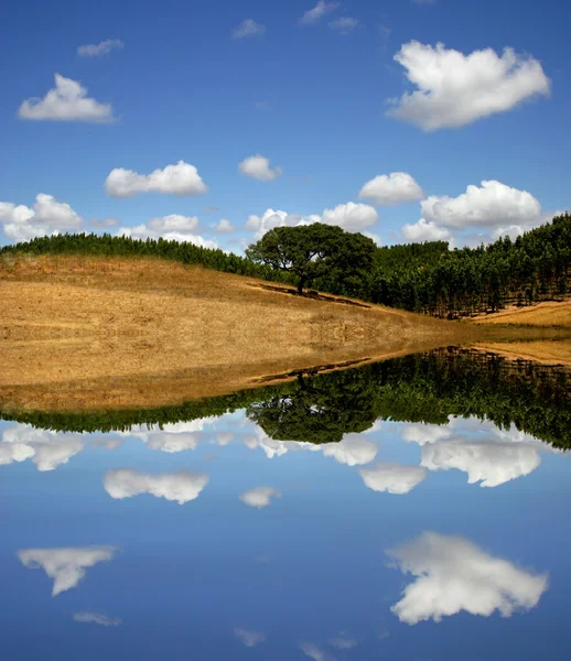 Natural South Portuguese Landscape Water Reflection — Stock Photo, Image