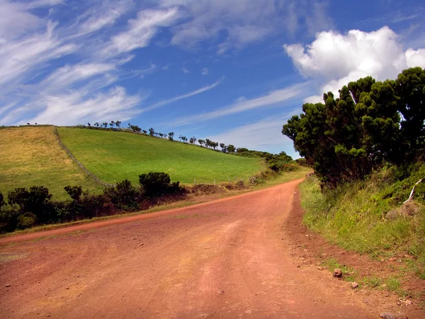 Közúti Azori-szigetek — Stock Fotó