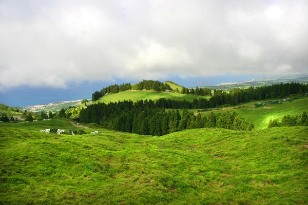 Azores Landscape — Stock Photo, Image