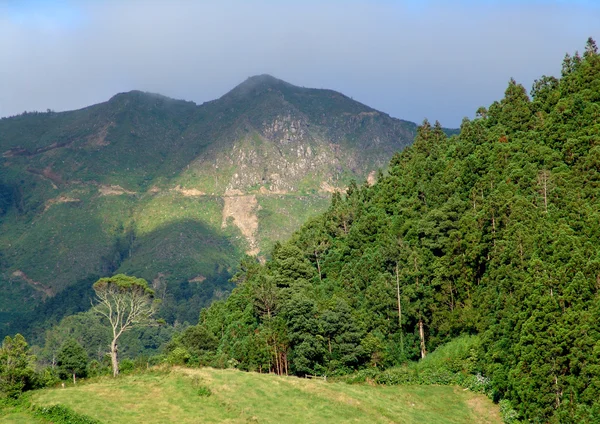 Montanhas Açores — Fotografia de Stock