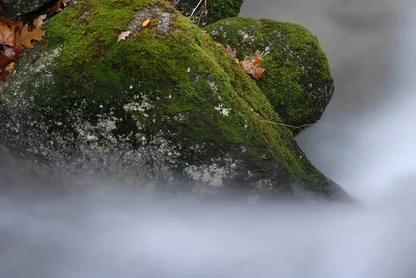 Осенняя Река Национальном Парке Португалии — стоковое фото