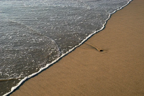 Pláž vlna — Stock fotografie