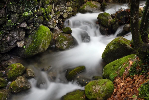 葡萄牙国家公园中的河流瀑布 — 图库照片
