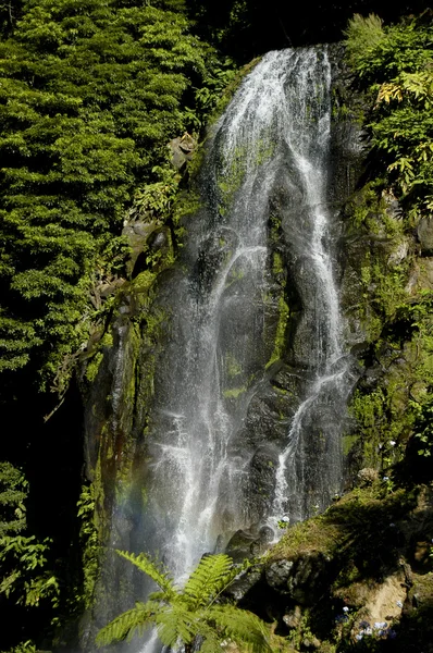 Waterfall Azores Portugal — Stock Photo, Image