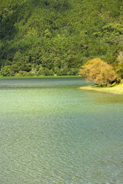 녹색 호수 — 스톡 사진