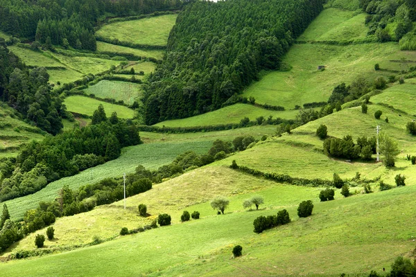 Azorerna hills — Stockfoto