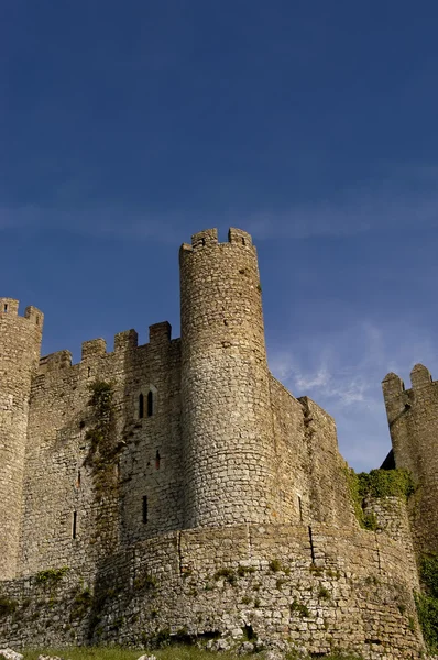 Zamek Obidos Szczegółowo Perspektywy Óbidos Portugalia — Zdjęcie stockowe