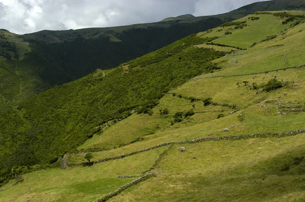 Azores colinas —  Fotos de Stock
