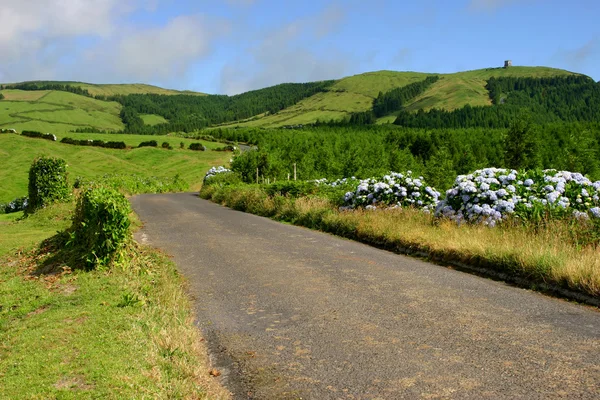 Montanhas Dos Açores — Fotografia de Stock