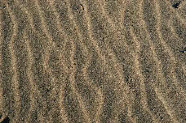 Sabbia del deserto — Foto Stock