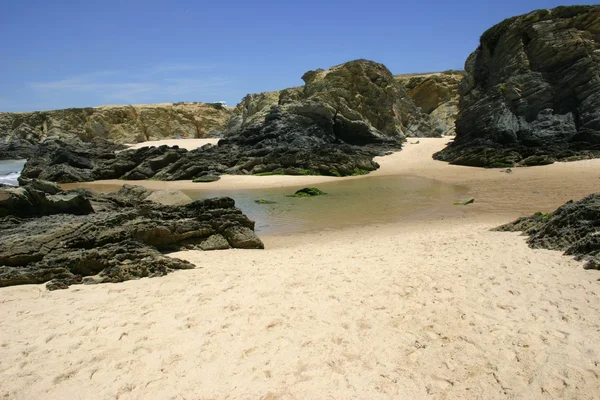 Portugisiska Beach Detalj — Stockfoto