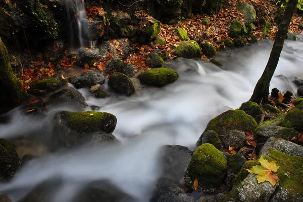 在一条小河在秋季的长时间曝光 — 图库照片