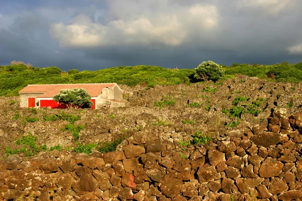 Casa Dos Açores — Fotografia de Stock
